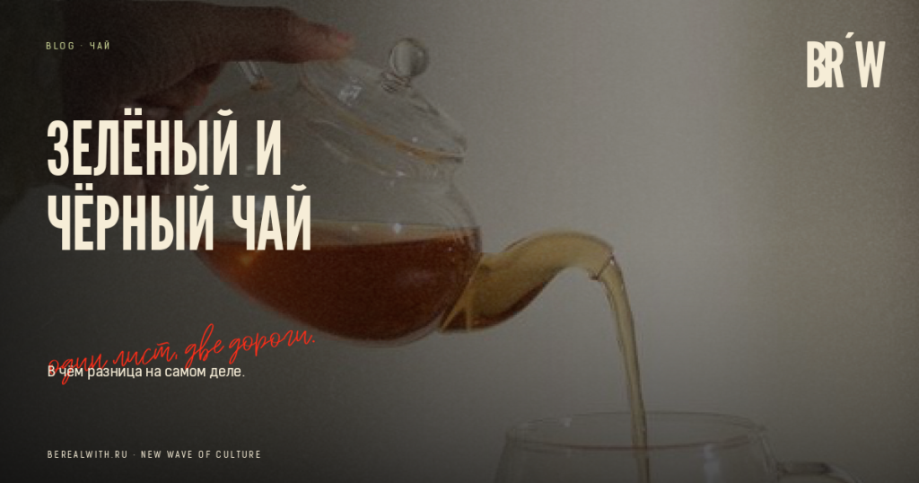 Зелёный и чёрный чай: один лист, разная обработка