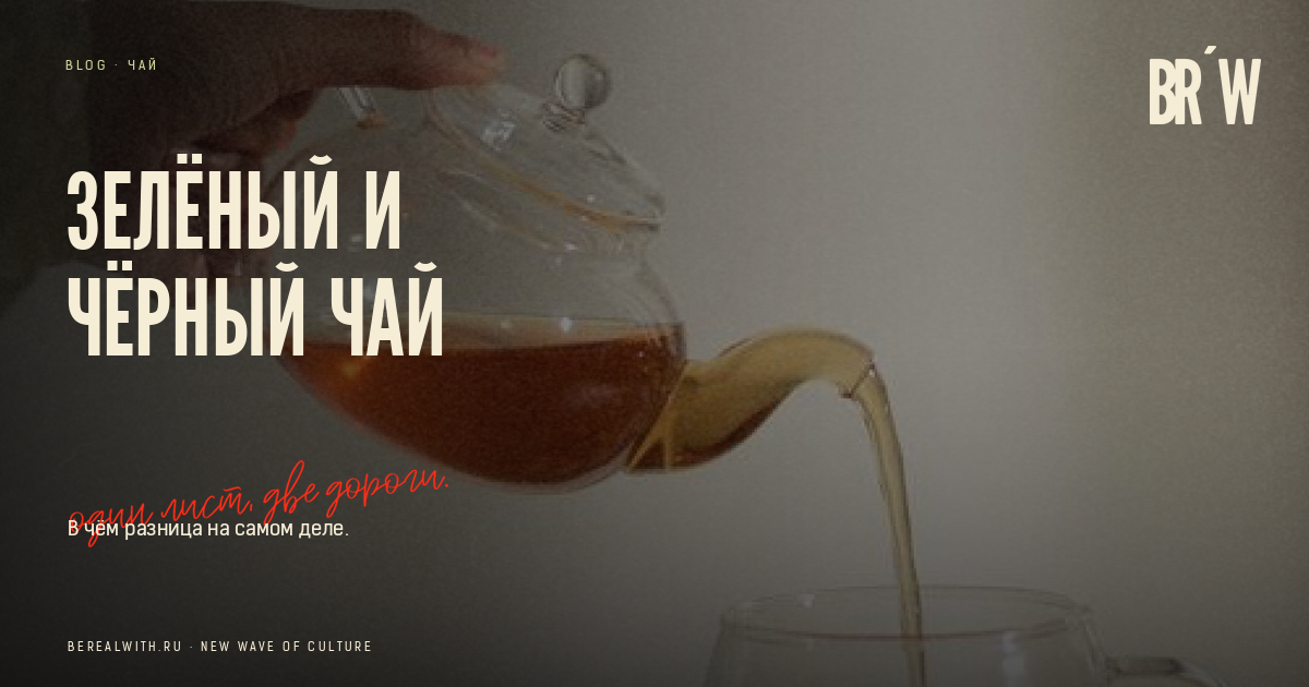 Зелёный и чёрный чай: один лист, разная обработка